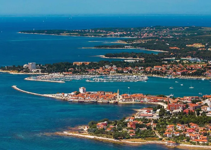 Oliva By Interhome Villa Pelegrin